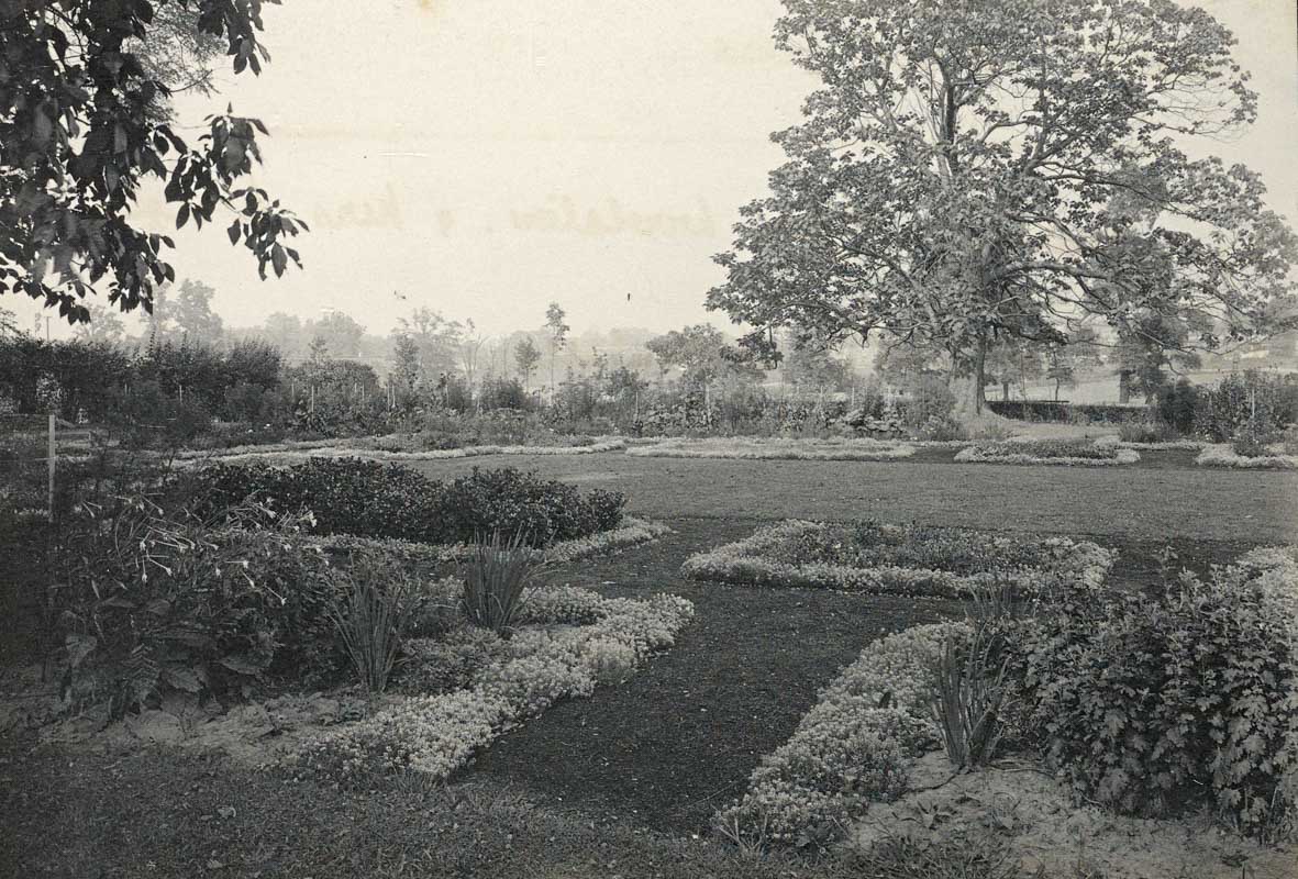 Historic 1911 Photo showing the colonial revival garden at Stenton with Northern Catalpa tree in the background