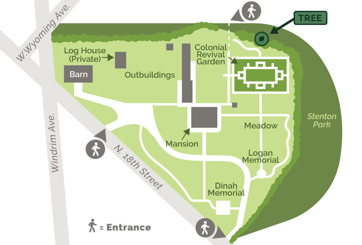 Stenton Tree Map